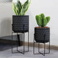 Set of 2 Modern Planters with Stand