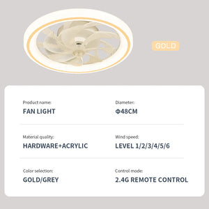 New Ceiling Fan Light