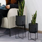 Set of 2 Modern Planters with Stand