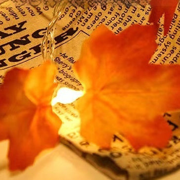 Led Maple Leaf Pumpkin Lighting Chain Thanksgiving Decoration Flashing Light